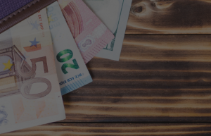 Parama verslo pradžiai ir plėtrai. Ferox Baltic - es parama ir investicijos