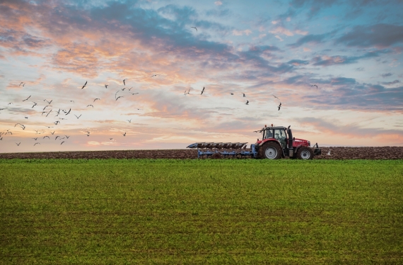 farmer plowing his fields at sunset Parama jaunųjų ūkininkų įsikūrimui