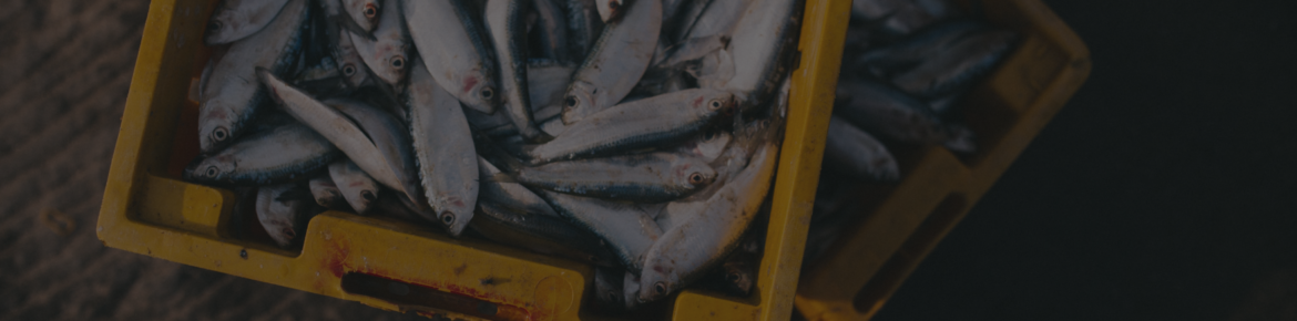 zvejybos-ir-akvakulturos-produktu-perdirbimas_Ferox-Baltic.png